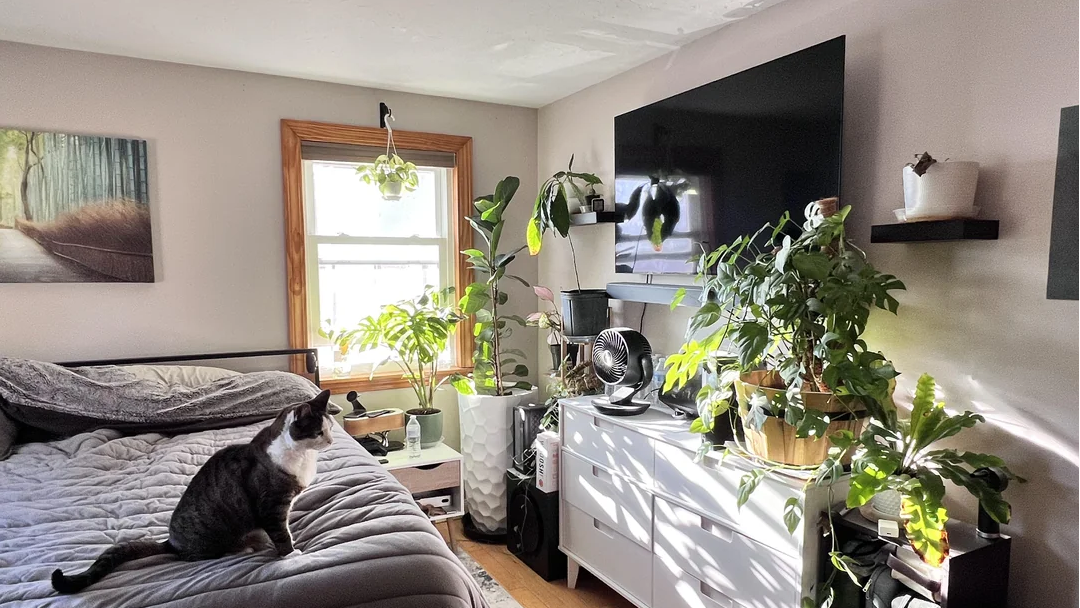 reddit TV too high
