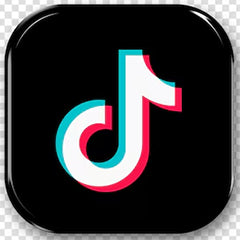 Tiktok Logo