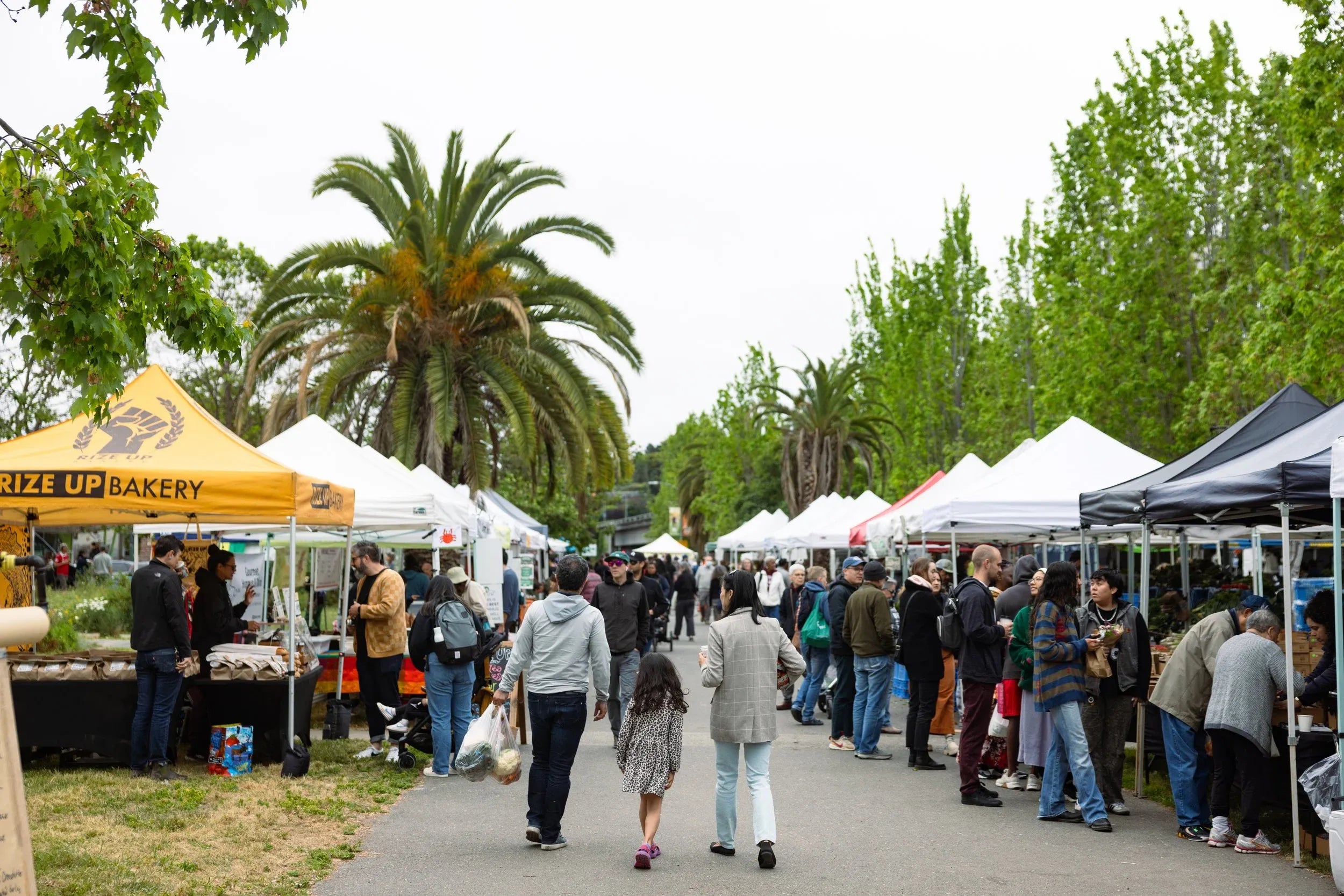 portable smart screens for farmers' market