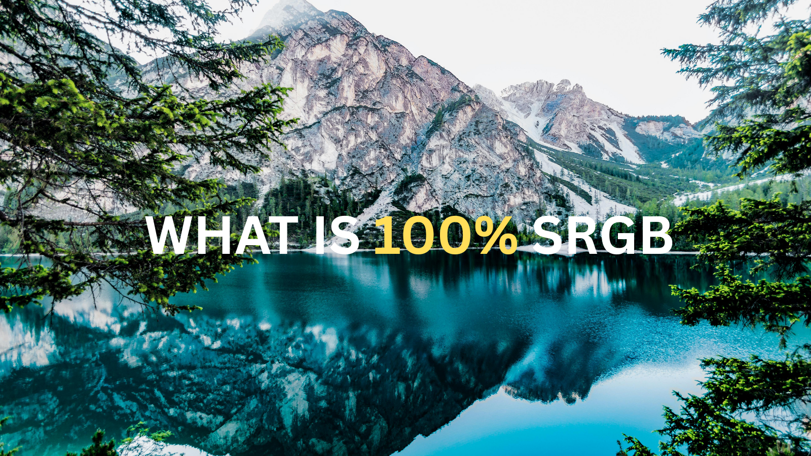 Why sRGB 100% Matters: Understanding Color Accuracy in Displays?